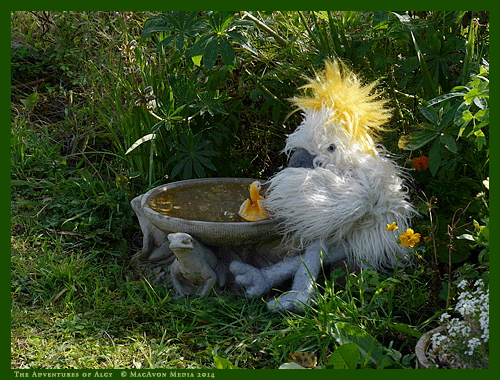 Algy Enjoys Giving His Rubber Swan a Bath