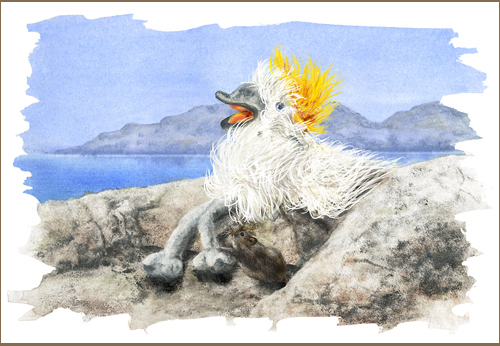 Illustrations: A Surprisingly Fluffy Bird